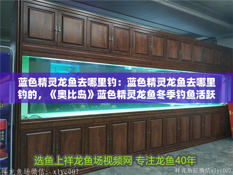 藍色精靈龍魚去哪里釣：藍色精靈龍魚去哪里釣的，《奧比島》藍色精靈龍魚冬季釣魚活躍地點和時間被釣獲 藍色精靈龍魚去哪里釣：藍色精靈龍魚去哪里釣的，《奧比島》藍色精靈龍魚冬季釣魚活躍地點和時間被釣獲 水族問答