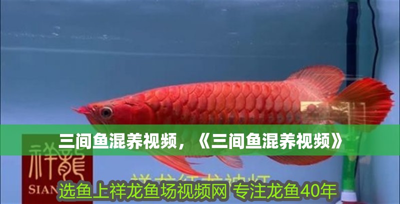 三間魚混養視頻，《三間魚混養視頻》