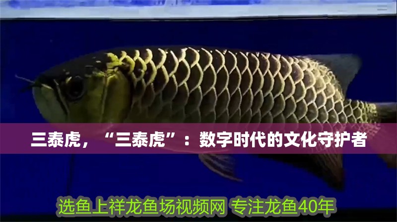三泰虎，“三泰虎”：數字時代的文化守護者