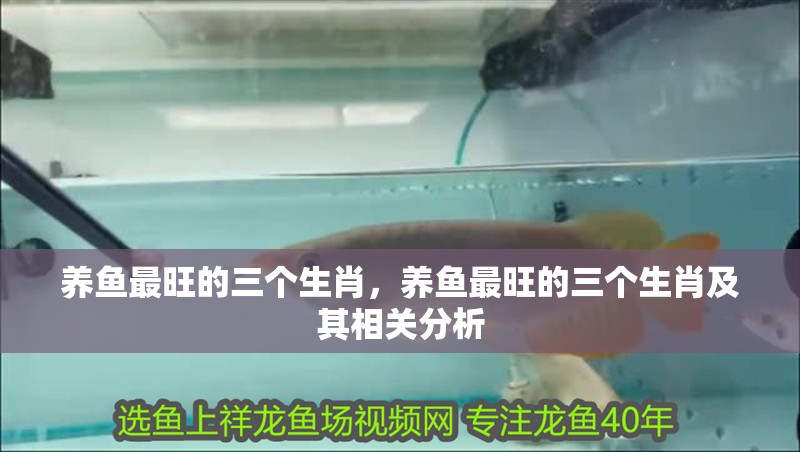 養(yǎng)魚最旺的三個(gè)生肖,養(yǎng)魚最旺的三個(gè)生肖及其相關(guān)分析 龍魚論壇 養(yǎng)魚最旺的三個(gè)生肖,養(yǎng)魚最旺的三個(gè)生肖及其相關(guān)分析 養(yǎng)魚最旺的三個(gè)生肖,養(yǎng)魚最旺的三個(gè)生肖及其相關(guān)分析 龍魚論壇