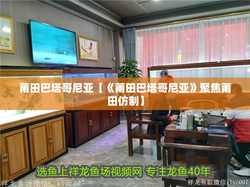 <strong><mark>莆田</mark></strong>巴塔哥尼亞【《<strong><mark>莆田</mark></strong>巴塔哥尼亞》聚焦<strong><mark>莆田</mark></strong>仿制】