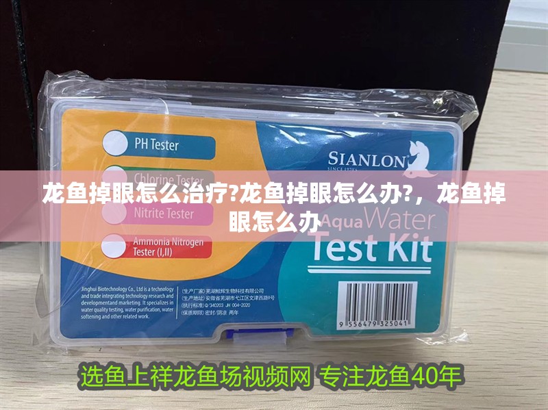龍魚掉眼怎么治療?龍魚掉眼怎么辦?，龍魚掉眼怎么辦