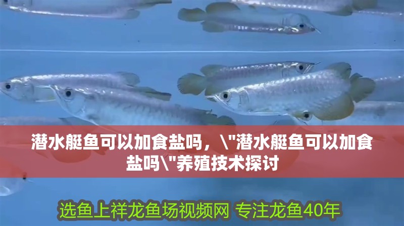 潛水艇魚可以加食鹽嗎,\ 潛水艇魚可以加食鹽嗎, 潛水艇魚可以加食鹽嗎,\