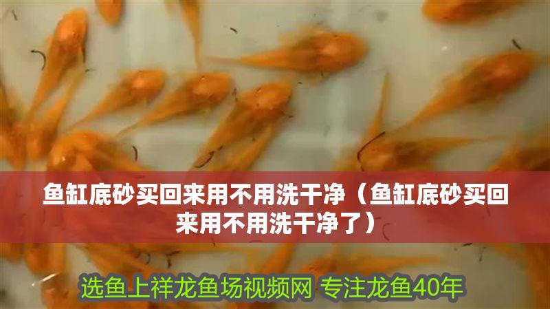 魚缸底砂買回來用不用洗干凈（魚缸底砂買回來用不用洗干凈了）