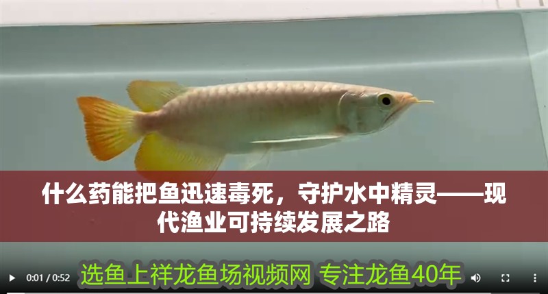 什么藥能把魚迅速毒死，守護水中精靈——現代漁業可持續發展之路
