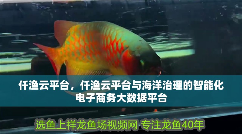 仟漁云平臺，仟漁云平臺與海洋治理的智能化電子商務大數據平臺