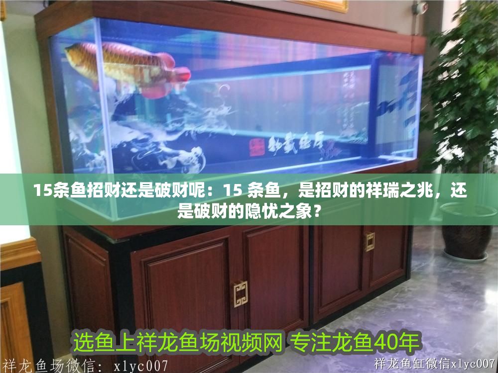 15條魚招財還是破財呢：15 條魚，是招財的祥瑞之兆，還是破財的隱憂之象？