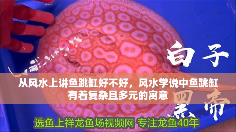 從風水上講魚跳缸好不好，風水學說中魚跳缸有著復雜且多元的寓意