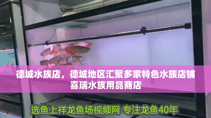 德城水族店，德城地區(qū)匯聚多家特色水族店鋪喜瑞水族用品商店