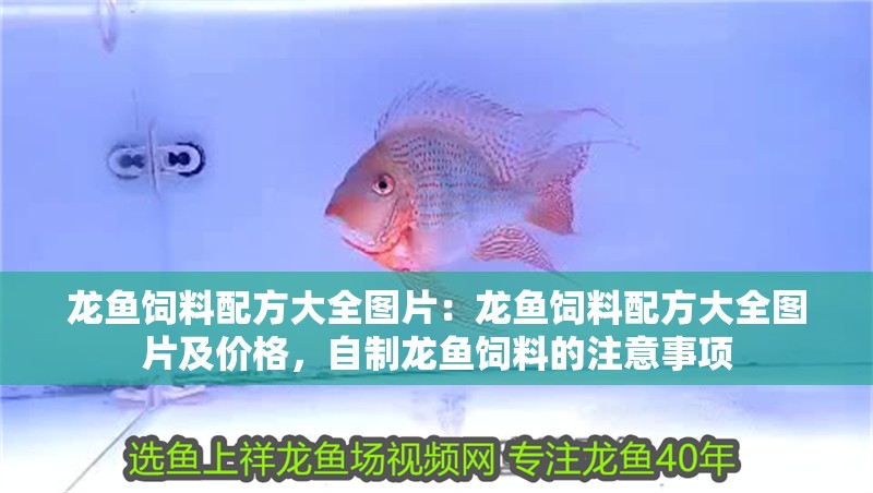 龍魚飼料配方大全圖片：龍魚飼料配方大全圖片及價格，自制龍魚飼料的注意事項