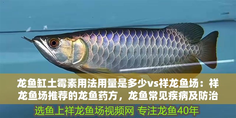 龍魚缸土霉素用法用量是多少vs祥龍魚場：祥龍魚場推薦的龍魚藥方，龍魚常見疾病及防治方法