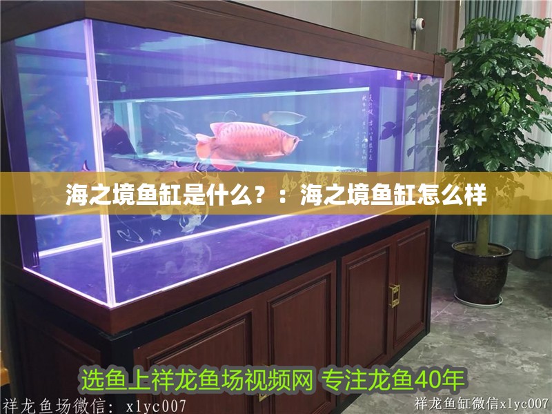 海之境魚缸是什么？：海之境魚缸怎么樣