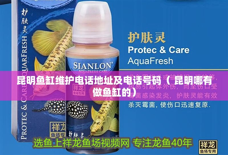 昆明魚缸維護(hù)電話地址及電話號碼（ 昆明哪有做魚缸的）