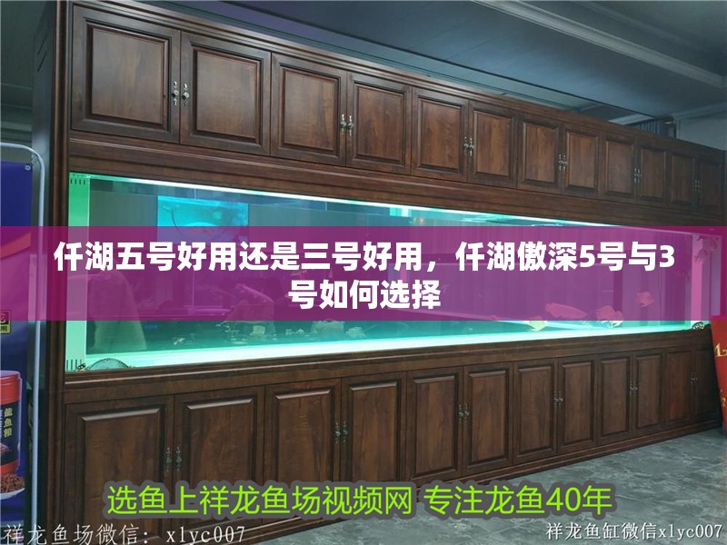 仟湖五號(hào)好用還是三號(hào)好用，仟湖傲深5號(hào)與3號(hào)如何選擇