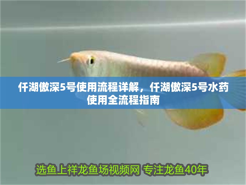 仟湖傲深5號使用流程詳解，仟湖傲深5號水藥使用全流程指南