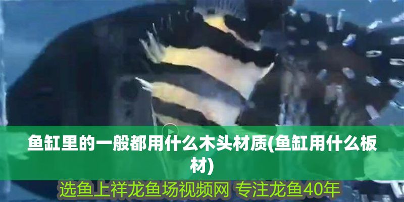 魚缸里的一般都用什么木頭材質(魚缸用什么板材)