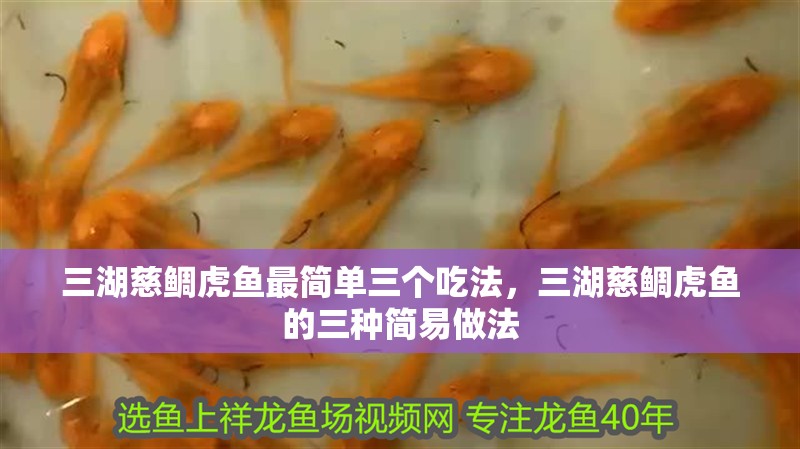 三湖慈鯛虎魚最簡單三個吃法，三湖慈鯛虎魚的三種簡易做法