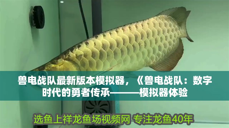 獸電戰隊最新版本模擬器，《獸電戰隊：數字時代的勇者傳承———模擬器體驗