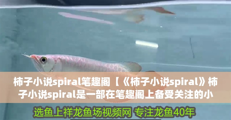 柿子小說spiral筆趣閣【《柿子小說spiral》柿子小說spiral是一部在筆趣閣上備受關注的小說】