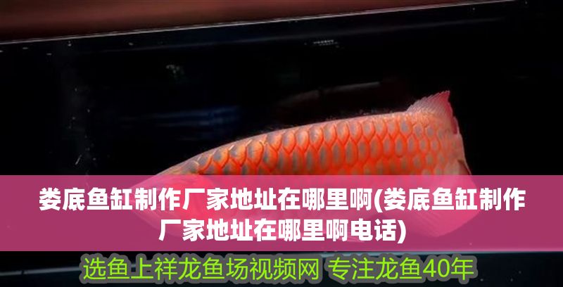 婁底魚(yú)缸制作廠家地址在哪里啊(婁底魚(yú)缸制作廠家地址在哪里啊電話(huà))