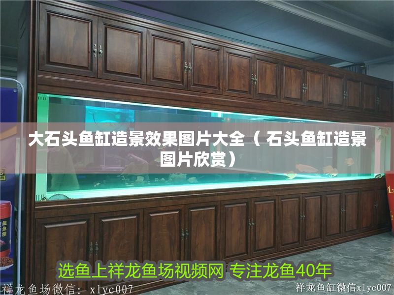 大石頭魚缸造景效果圖片大全（ 石頭魚缸造景圖片欣賞）