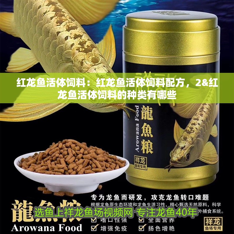 紅龍魚活體飼料：紅龍魚活體飼料配方，2&紅龍魚活體飼料的種類有哪些