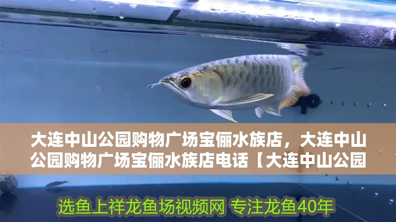 大連中山公園購物廣場寶儷水族店，大連中山公園購物廣場寶儷水族店電話【大連中山公園購物廣場寶儷水族寵物廣場寶儷水族店】