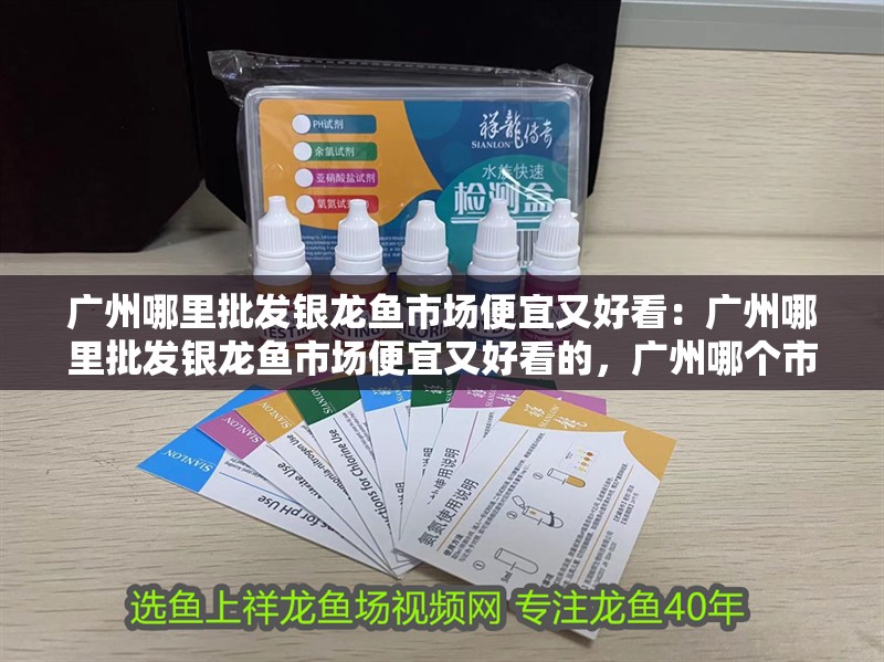 廣州哪里批發銀龍魚市場便宜又好看：廣州哪里批發銀龍魚市場便宜又好看的，廣州哪個市場批發銀龍魚好？