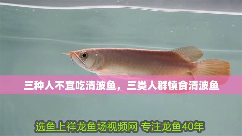 三種人不宜吃清波魚，三類人群慎食清波魚 三種人不宜吃清波魚，三類人群慎食清波魚 龍魚論壇