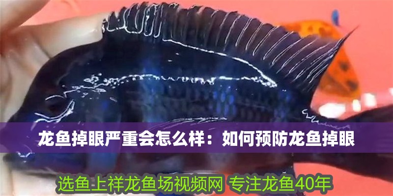 龍魚掉眼嚴(yán)重會(huì)怎么樣：如何預(yù)防龍魚掉眼
