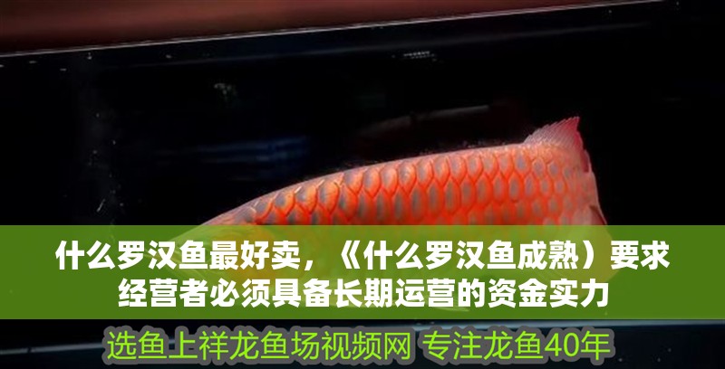 什么羅漢魚最好賣，《什么羅漢魚成熟）要求經營者必須具備長期運營的資金實力 什么羅漢魚最好賣，《什么羅漢魚成熟）要求經營者必須具備長期運營的資金實力 龍魚論壇