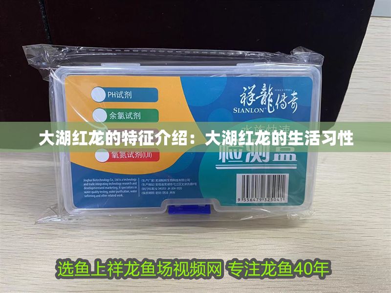 大湖紅龍的特征介紹:大湖紅龍的生活習性 大湖紅龍魚百科 第2張 大湖紅龍的特征介紹:大湖紅龍的生活習性 大湖紅龍的特征介紹:大湖紅龍的生活習性 大湖紅龍魚百科 第2張