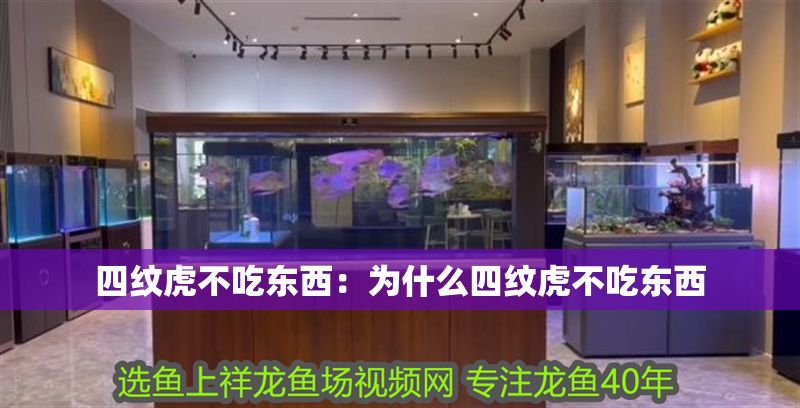 四紋虎不吃東西：為什么四紋虎不吃東西