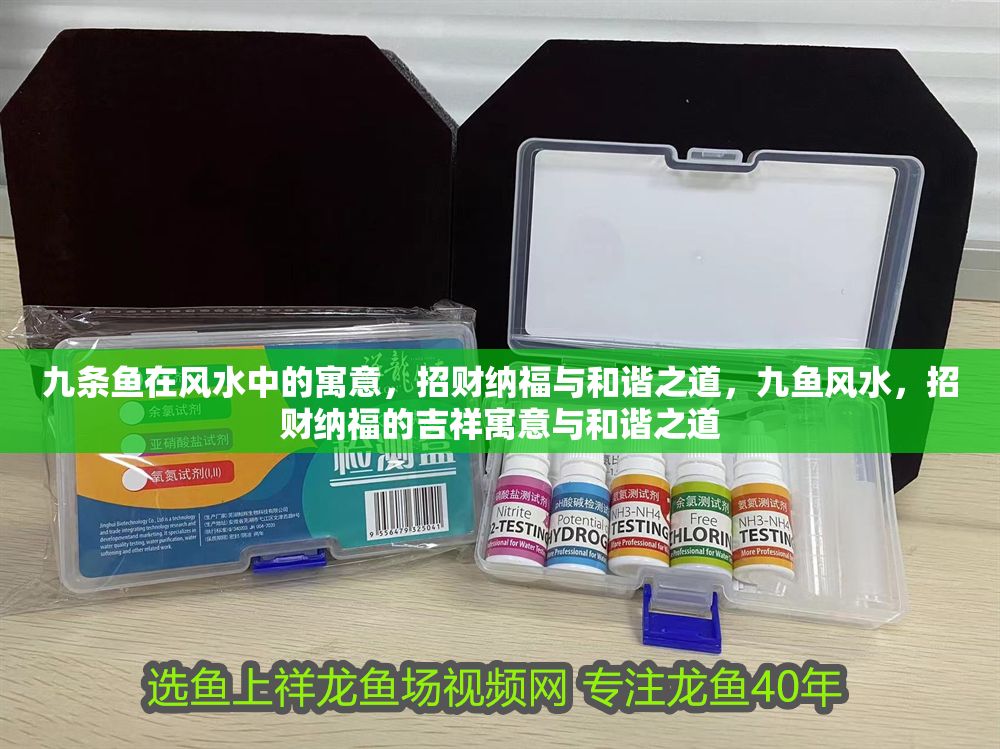 九條魚在風水中的寓意，招財納福與和諧之道，九魚風水，招財納福的吉祥寓意與和諧之道