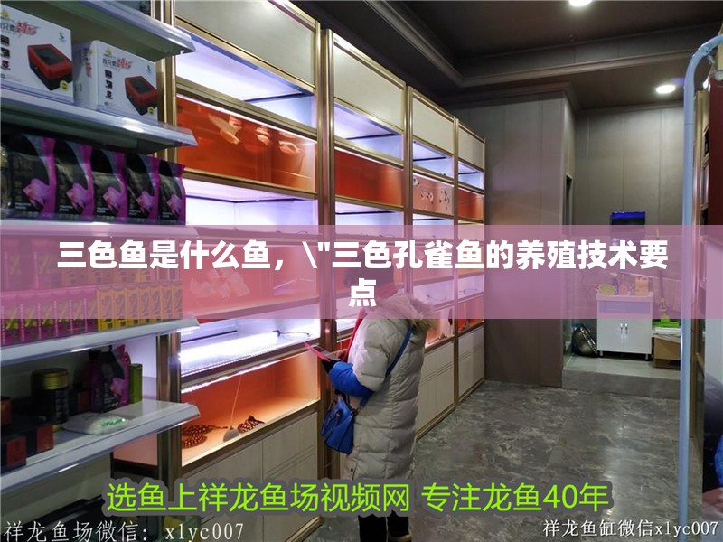 三色魚是什么魚，\