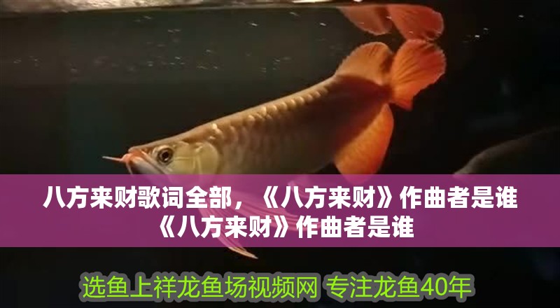 八方來財(cái)歌詞全部，《八方來財(cái)》作曲者是誰《八方來財(cái)》作曲者是誰 八方來財(cái)歌詞全部，《八方來財(cái)》作曲者是誰《八方來財(cái)》作曲者是誰 龍魚論壇