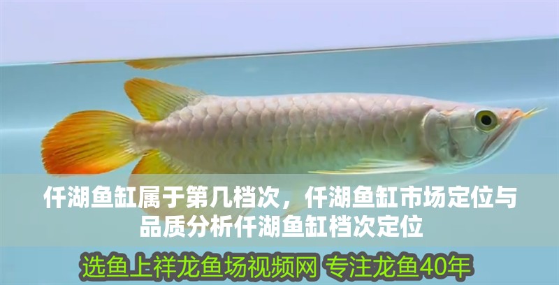 仟湖魚缸屬于第幾檔次，仟湖魚缸市場定位與品質分析仟湖魚缸檔次定位