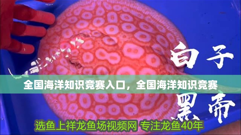 全國海洋知識競賽入口，全國海洋知識競賽