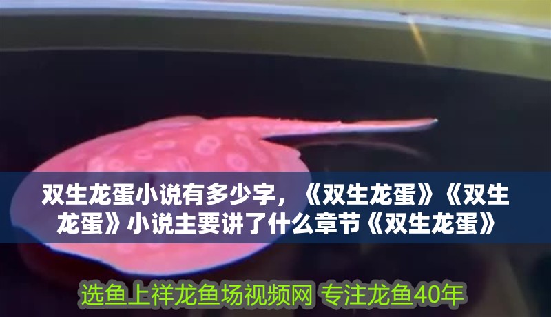 雙生龍蛋小說有多少字，《雙生龍蛋》《雙生龍蛋》小說主要講了什么章節《雙生龍蛋》 雙生龍蛋小說有多少字，《雙生龍蛋》《雙生龍蛋》小說主要講了什么章節《雙生龍蛋》 龍魚論壇