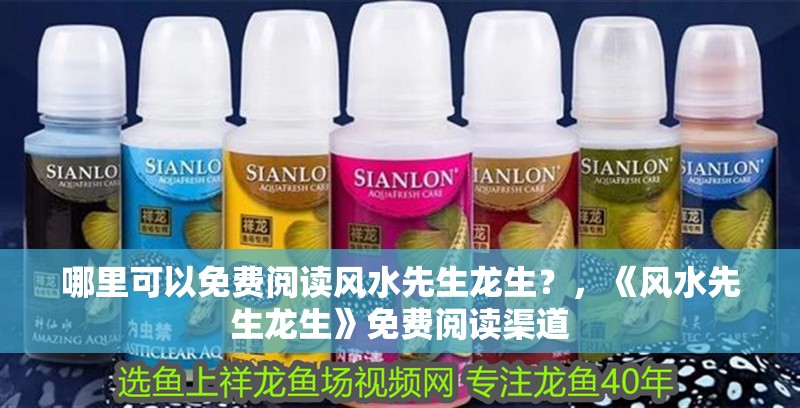 哪里可以免費閱讀風水先生龍生？，《風水先生龍生》免費閱讀渠道