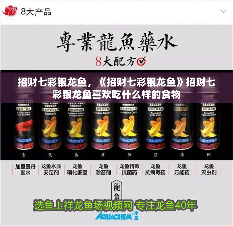 招財七彩銀龍魚，《招財七彩銀龍魚》招財七彩銀龍魚喜歡吃什么樣的食物