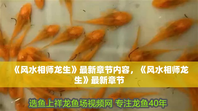 《風(fēng)水相師龍生》最新章節(jié)內(nèi)容，《風(fēng)水相師龍生》最新章節(jié)