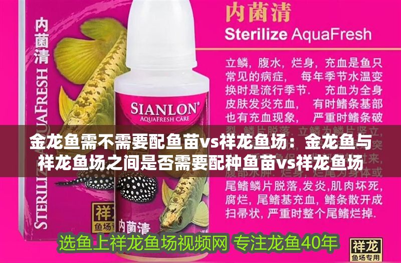 金龍魚需不需要配魚苗vs祥龍魚場(chǎng)：金龍魚與祥龍魚場(chǎng)之間是否需要配種魚苗vs祥龍魚場(chǎng)