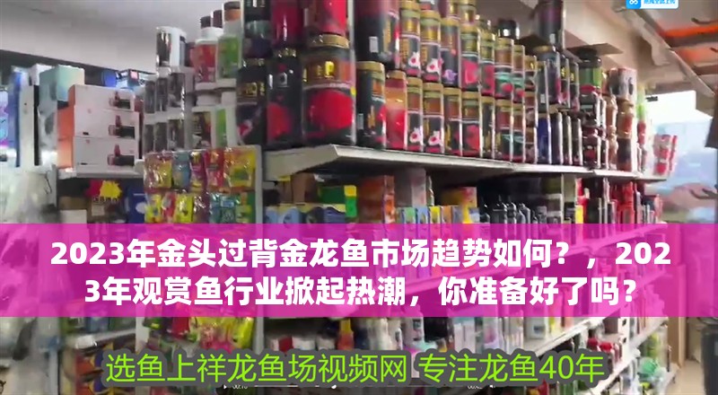 2023年金頭過背金龍魚市場趨勢如何？，2023年觀賞魚行業掀起熱潮，你準備好了嗎？
