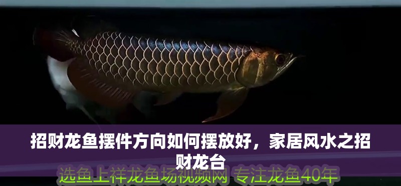 招財龍魚擺件方向如何擺放好，家居風水之招財龍臺