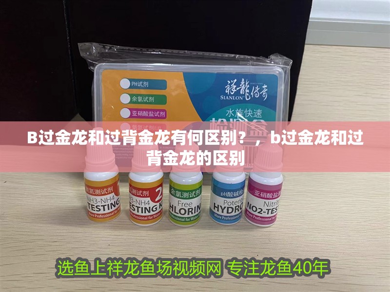 B過(guò)金龍和過(guò)背金龍有何區(qū)別？，b過(guò)金龍和過(guò)背金龍的區(qū)別