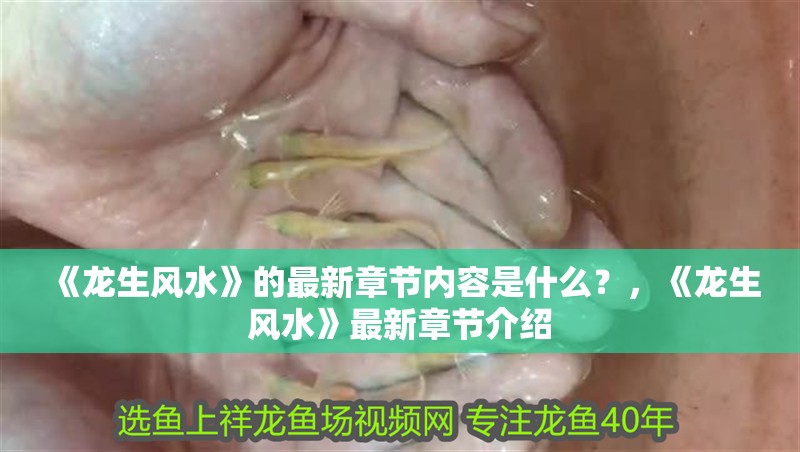 《龍生風水》的最新章節內容是什么？，《龍生風水》最新章節介紹 《龍生風水》的最新章節內容是什么？，《龍生風水》最新章節介紹 龍魚論壇