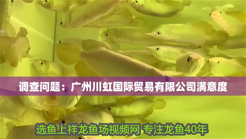 調查問題：廣州川虹國際貿易有限公司滿意度