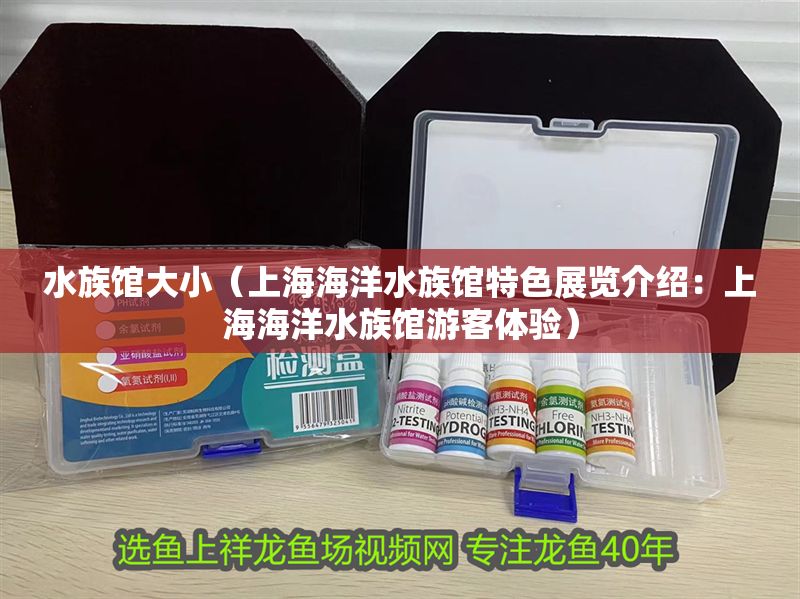 水族館大小（上海海洋水族館特色展覽介紹：上海海洋水族館游客體驗） 水族館大小（上海海洋水族館特色展覽介紹：上海海洋水族館游客體驗） 水族館百科（水族館加盟） 第1張