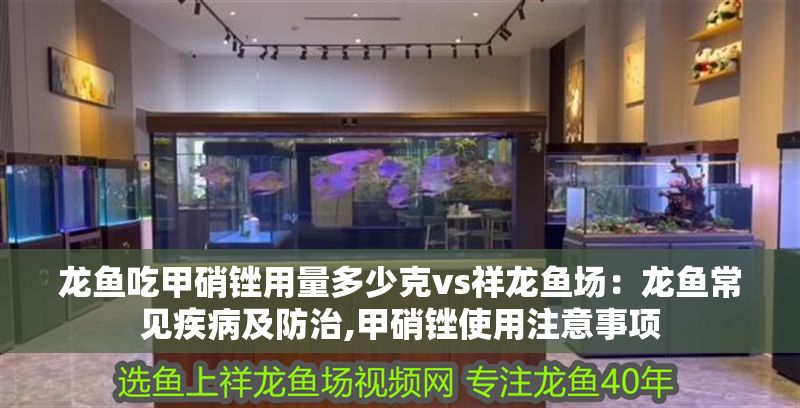 龍魚吃甲硝銼用量多少克vs祥龍魚場：龍魚常見疾病及防治,甲硝銼使用注意事項 龍魚吃甲硝銼用量多少克vs祥龍魚場：龍魚常見疾病及防治,甲硝銼使用注意事項 vs祥龍魚場 第1張